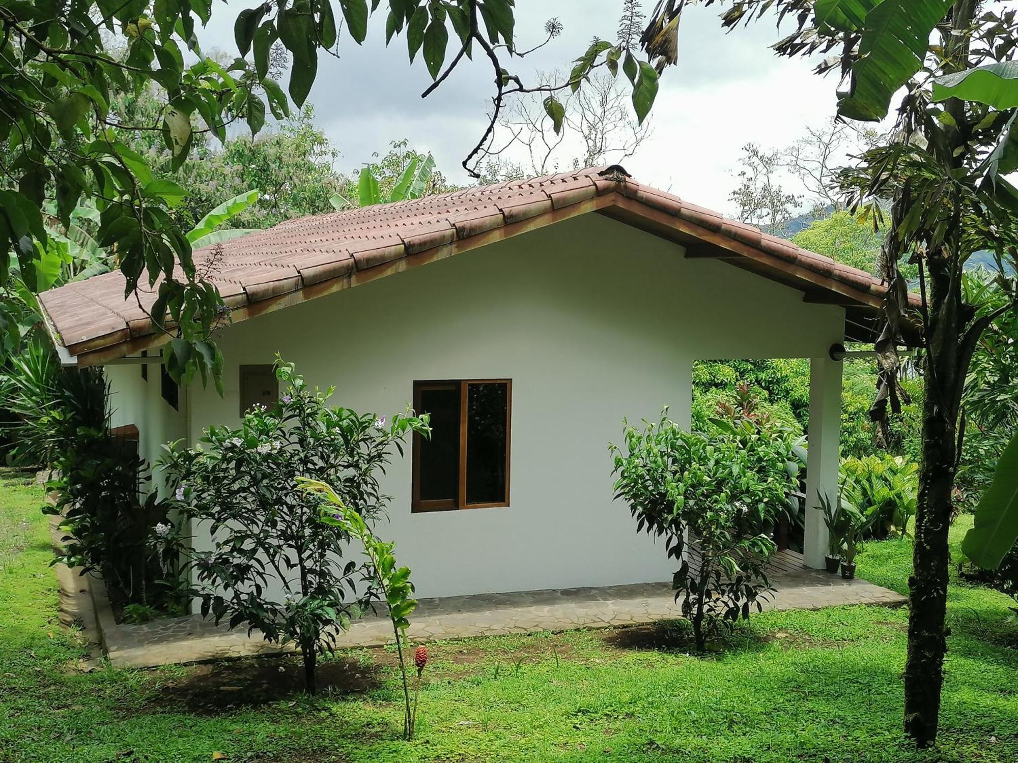 La Ceiba Tree Lodge Tilarán Esterno foto