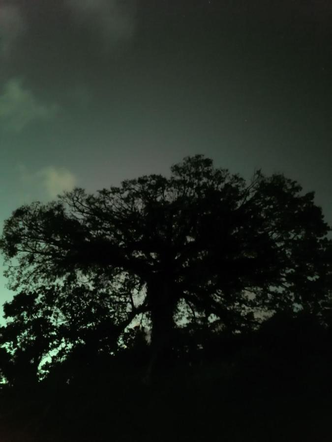 La Ceiba Tree Lodge Tilarán Esterno foto