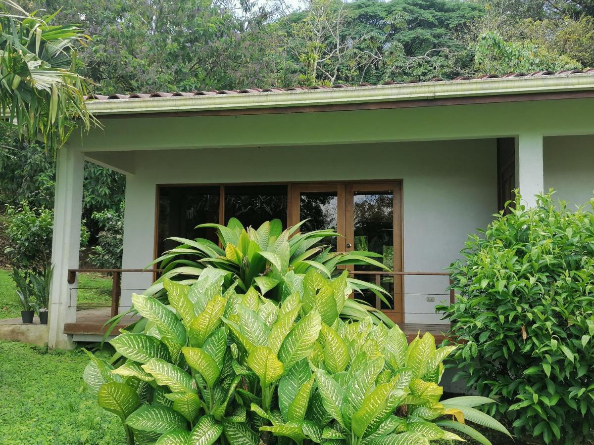 La Ceiba Tree Lodge Tilarán Esterno foto